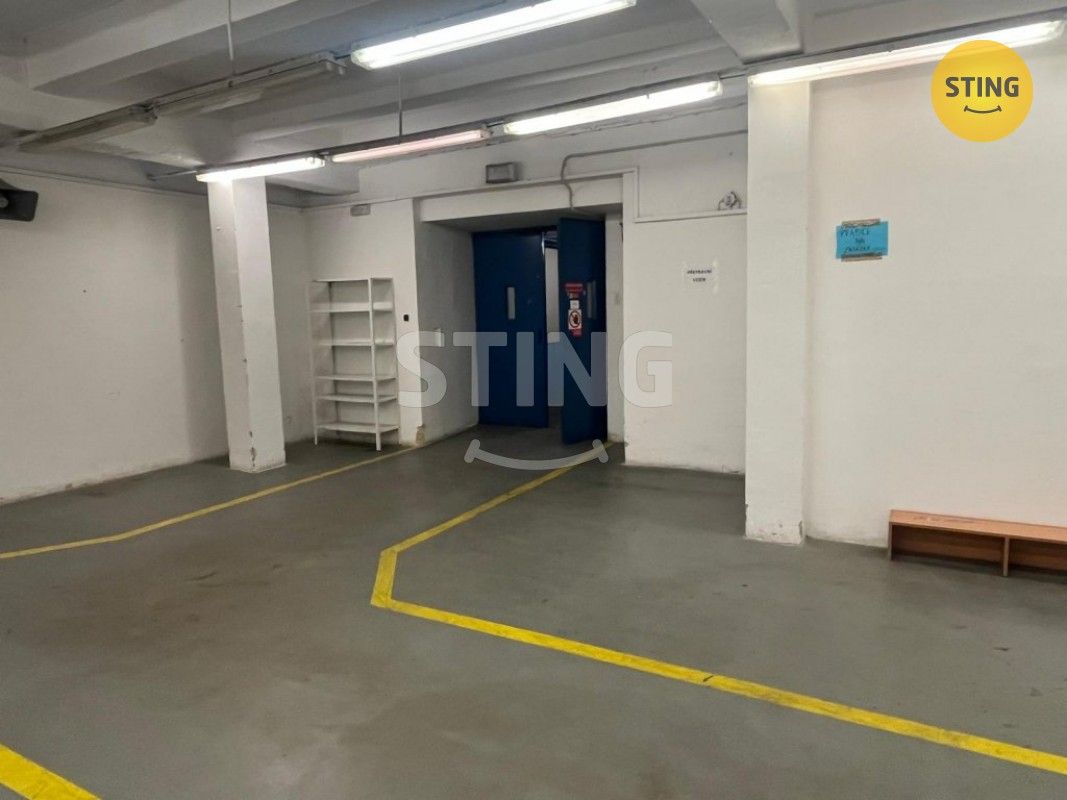 Pronájem sklad - Rybářská  , Opava Předměstí, 320 m² - 5