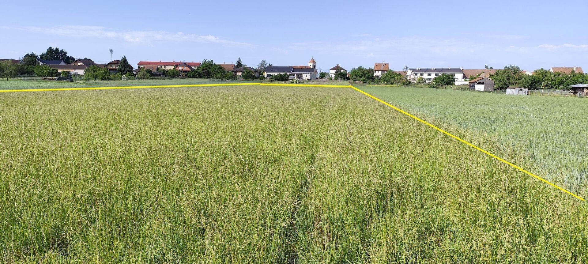 Pozemky pro bydlení, Branišovice, 6 890 m² - 2