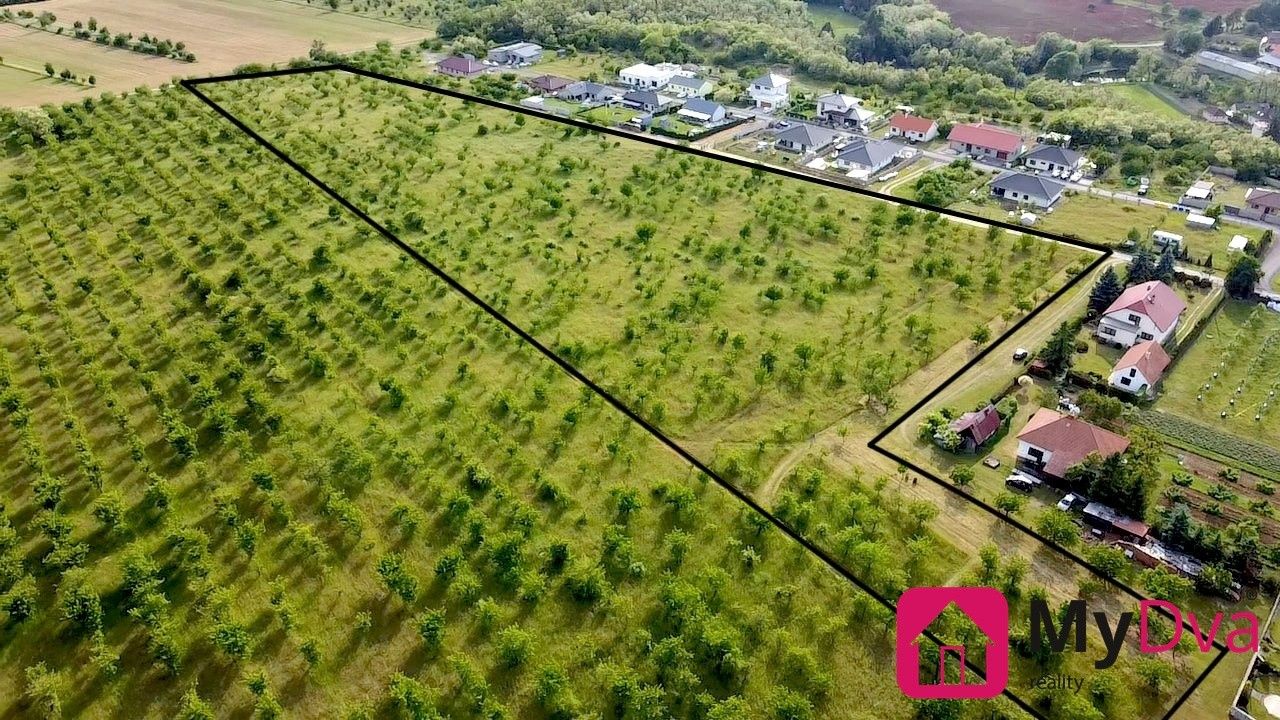 Ostatní, Mikulovice, 60 000 m²