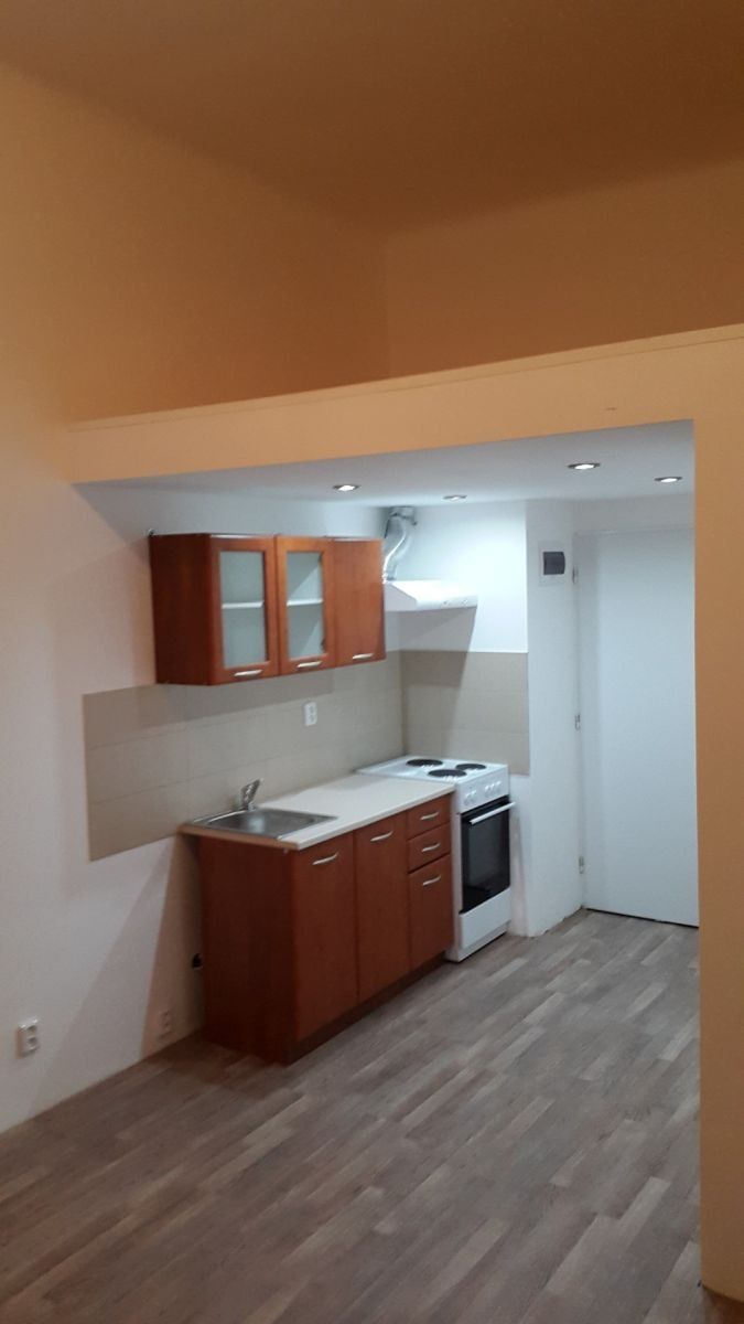 1+kk, Seifertova, Praha - Žižkov, 20 m² - 2