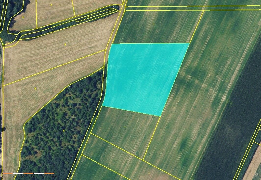 Prodej zemědělský pozemek - Bořitov