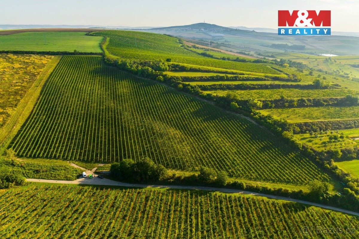 Prodej pozemek pro bydlení - Šardice, 696 13