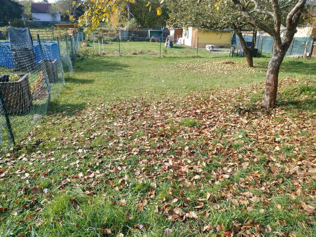 Prodej zahrada - Teplice, 415 01