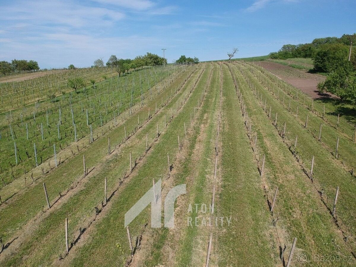 Prodej pozemek pro bydlení - Křepice u Hustopečí, 691 65