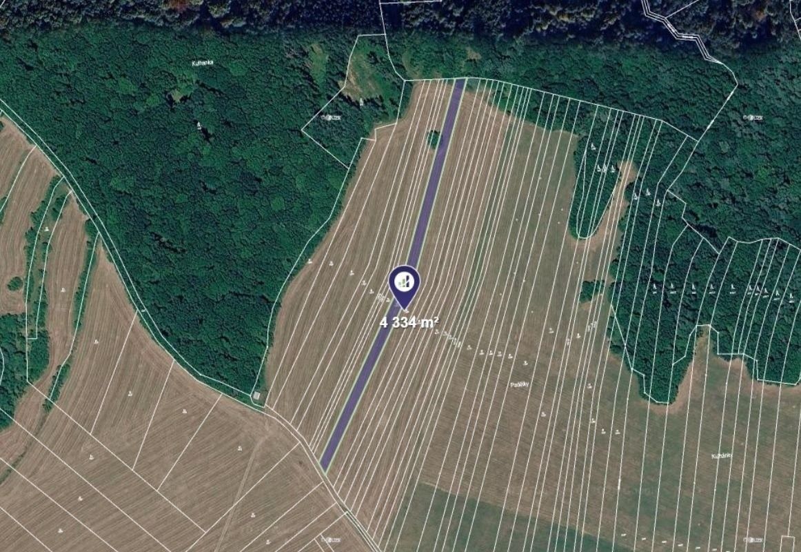 Louky, Zlámanec - 1