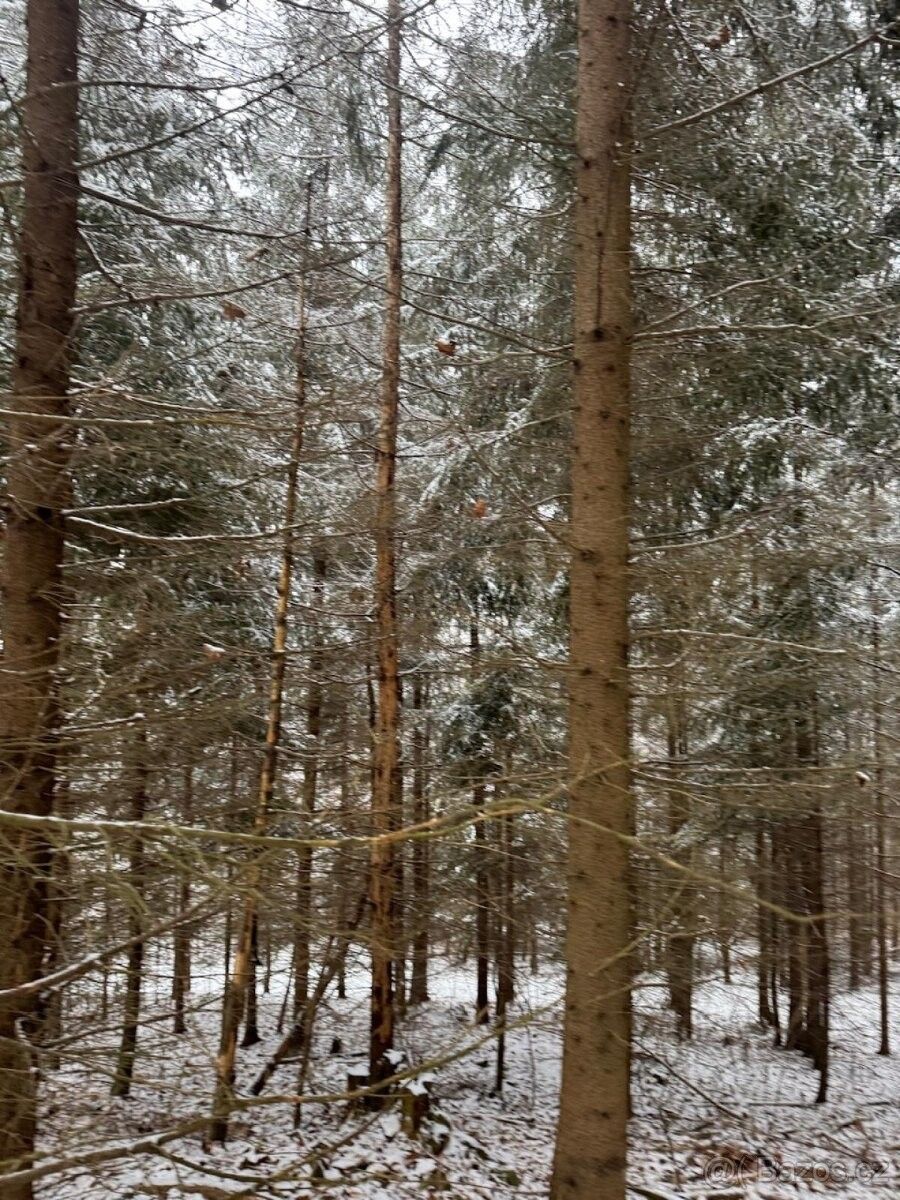 Pozemky pro bydlení, Vsetín, 755 01