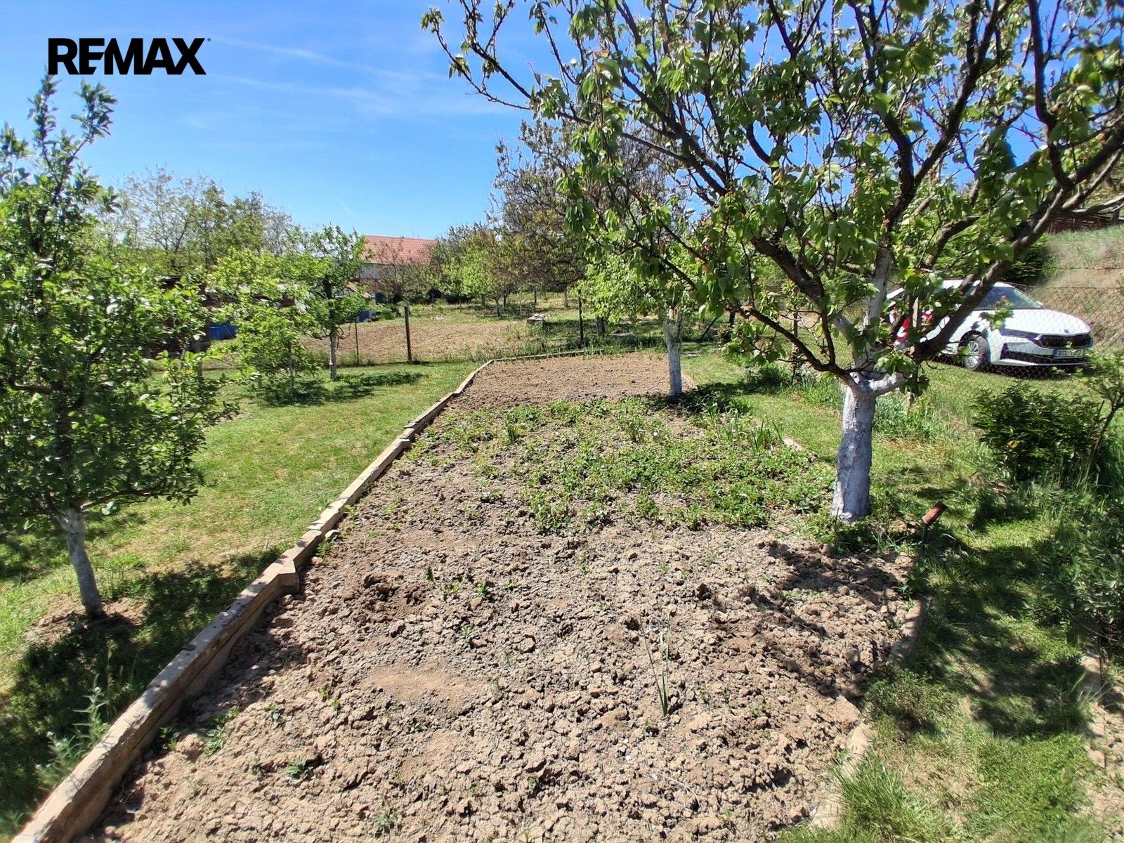 Prodej zahrada - Dyje, 579 m² - 5