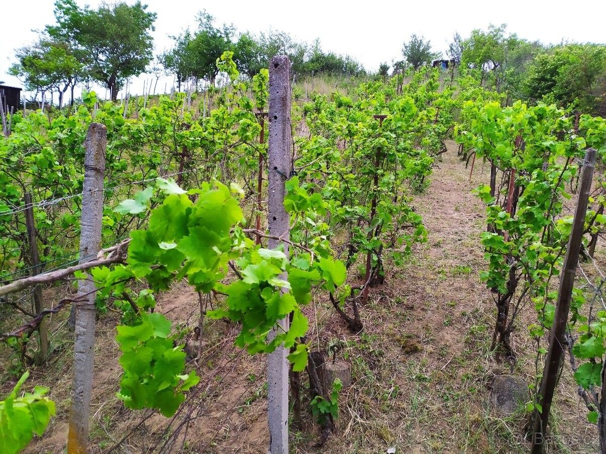 Pozemky pro bydlení, Bzenec, 696 81