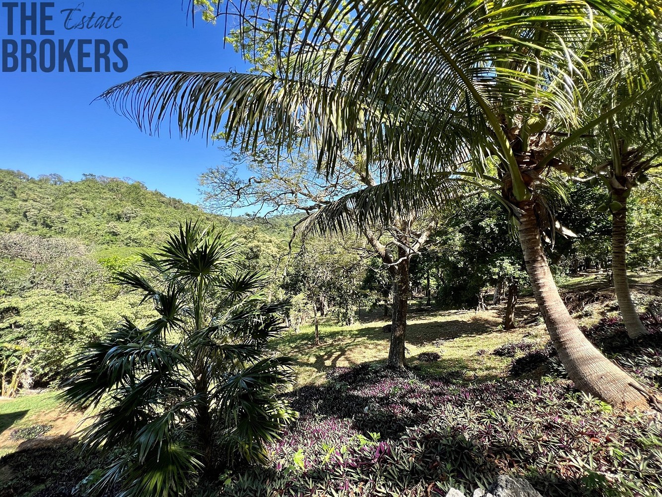Pozemek pro bydlení · Coxen Hole, Roatán, Honduras - 3
