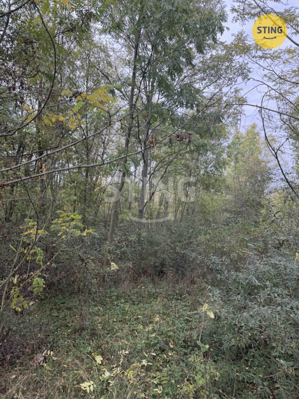 Pozemek · 10 074 m² · Kleneč - 4