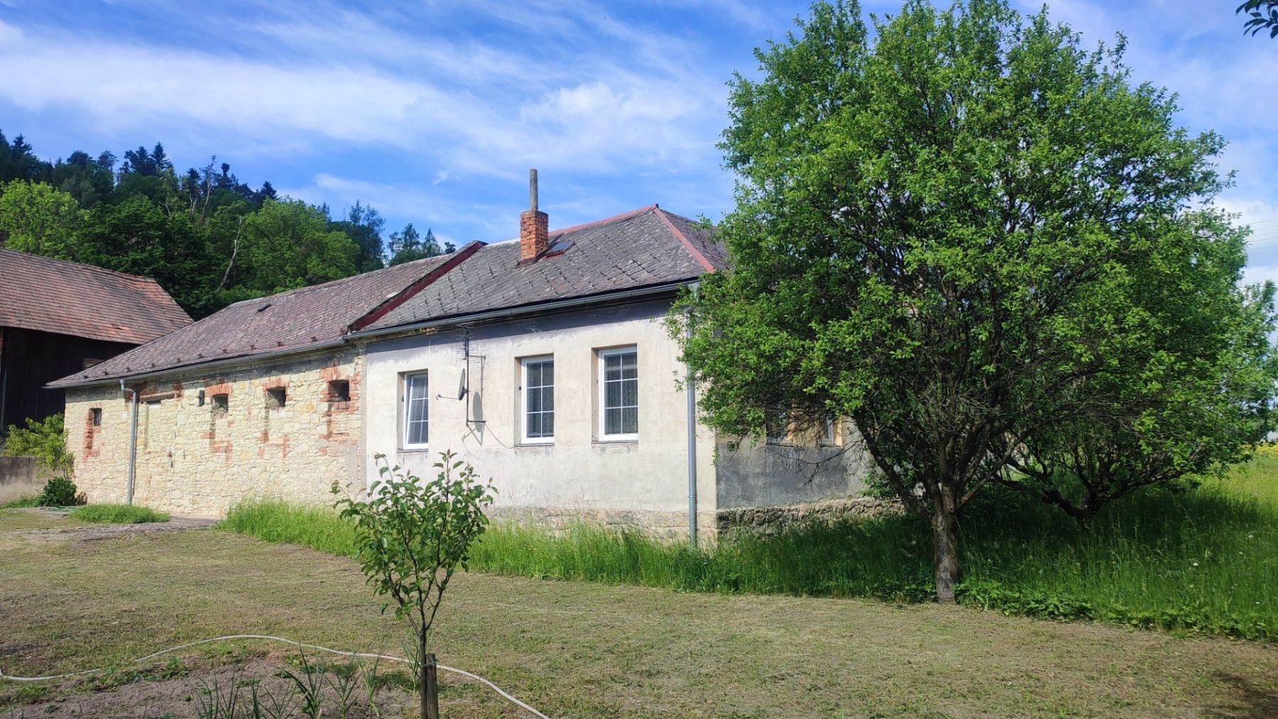Rodinné domy, Lesní, Březová nad Svitavou - Česká Dlouhá, Pardubický kraj, 721 m² - 1
