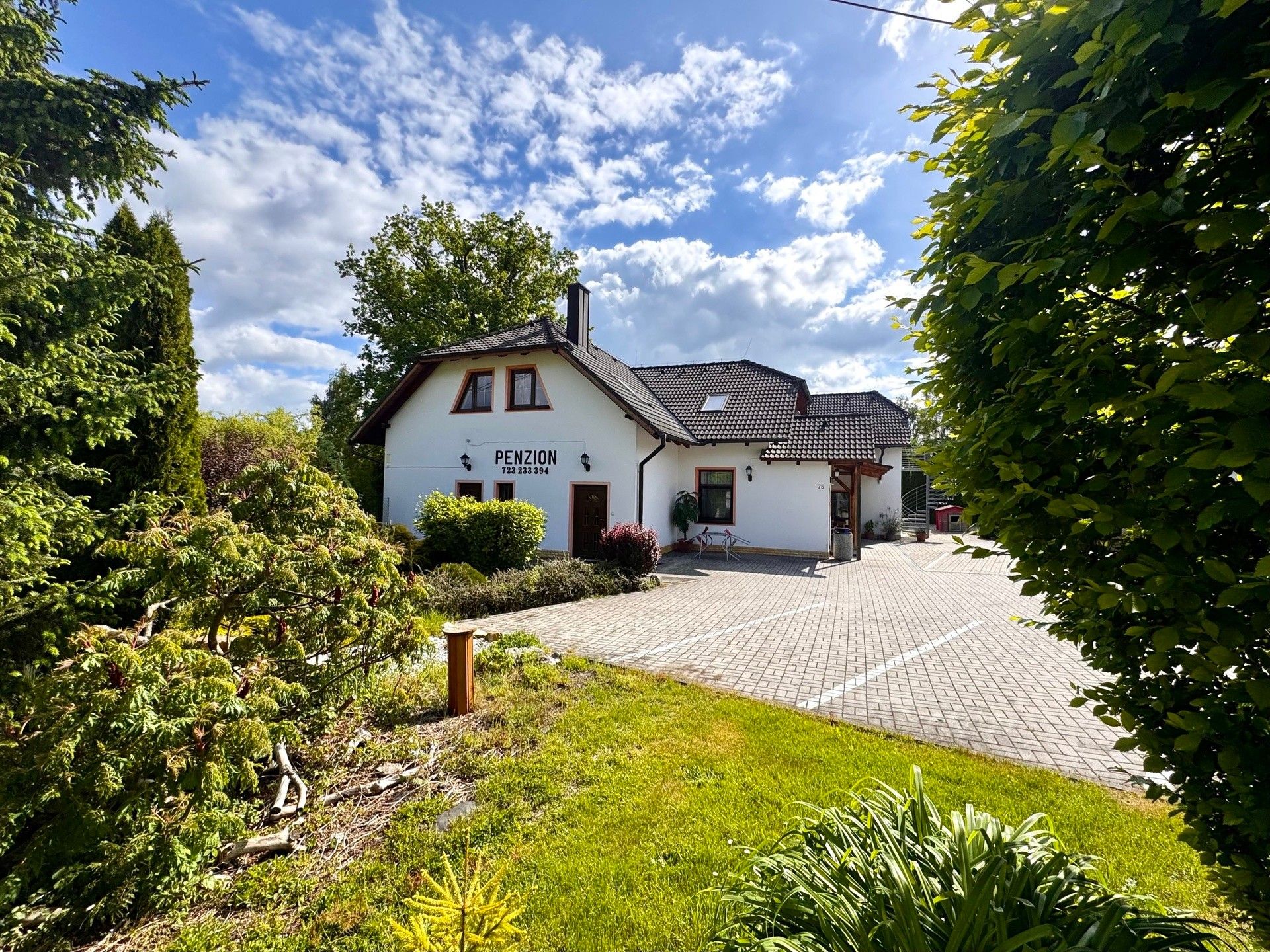 Rodinné domy, Vítkov, Tachov, 480 m²