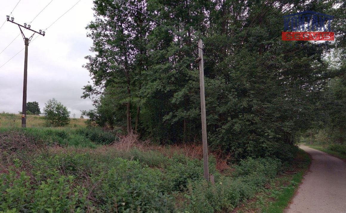 Prodej louka - Nové Hrady, okres České Budějovice - 5