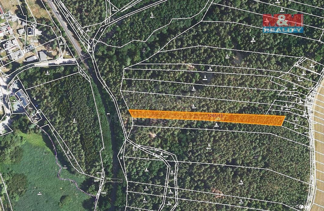 Les · Lužná, okres Rakovník, Středočeský kraj - 4