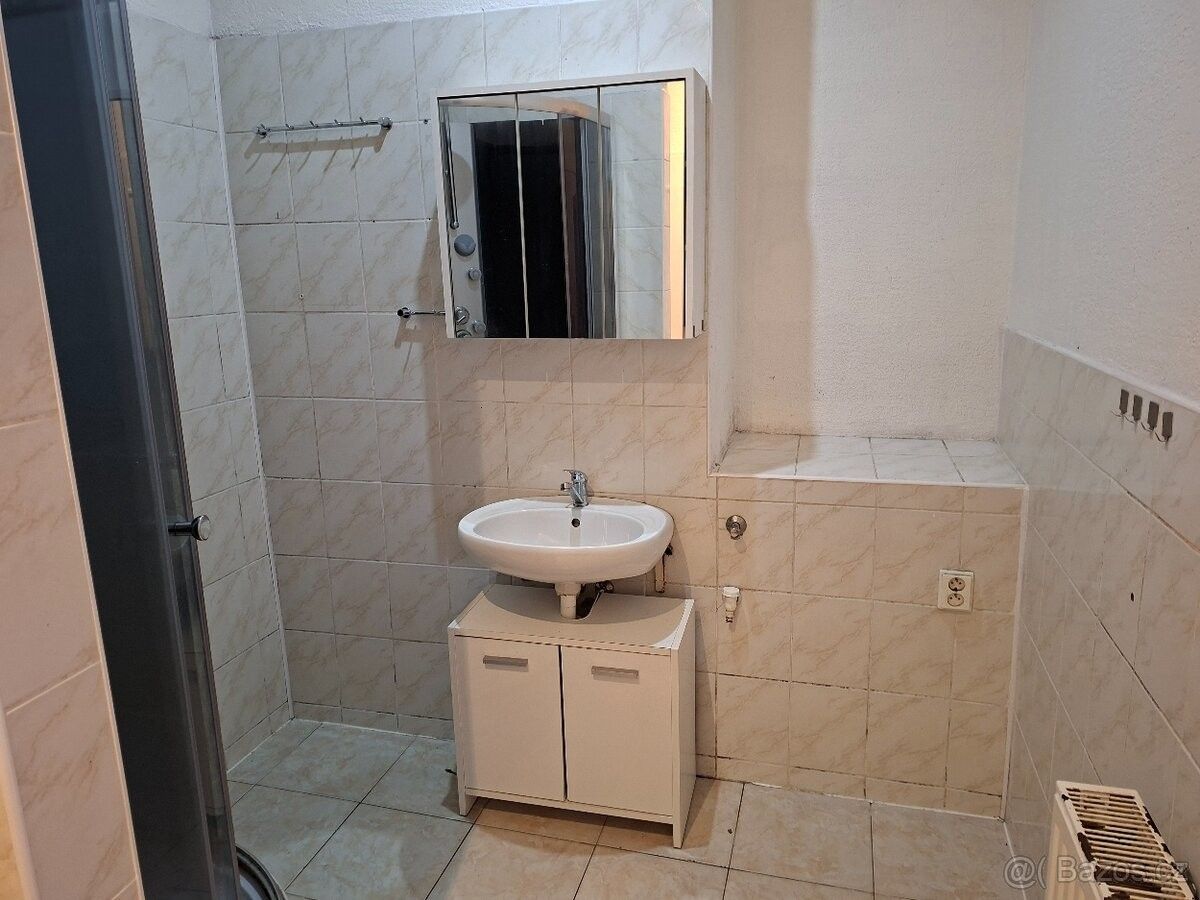 Byt · Litvínov, 436 01 - 3