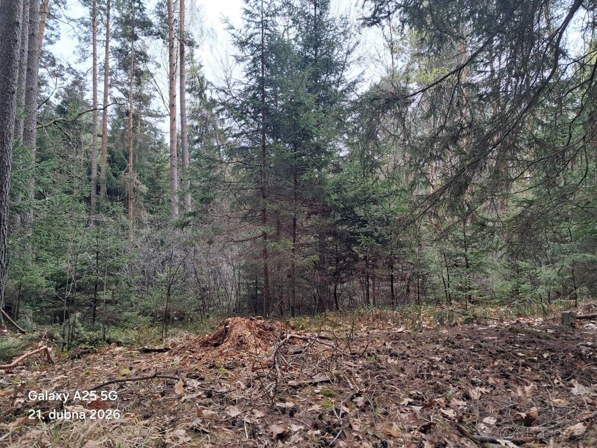 Pozemek pro bydlení · Trhové Sviny, 374 01 - 3