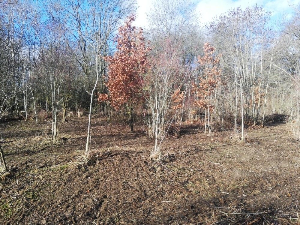 Pronájem zahrada - Cholina, 783 22