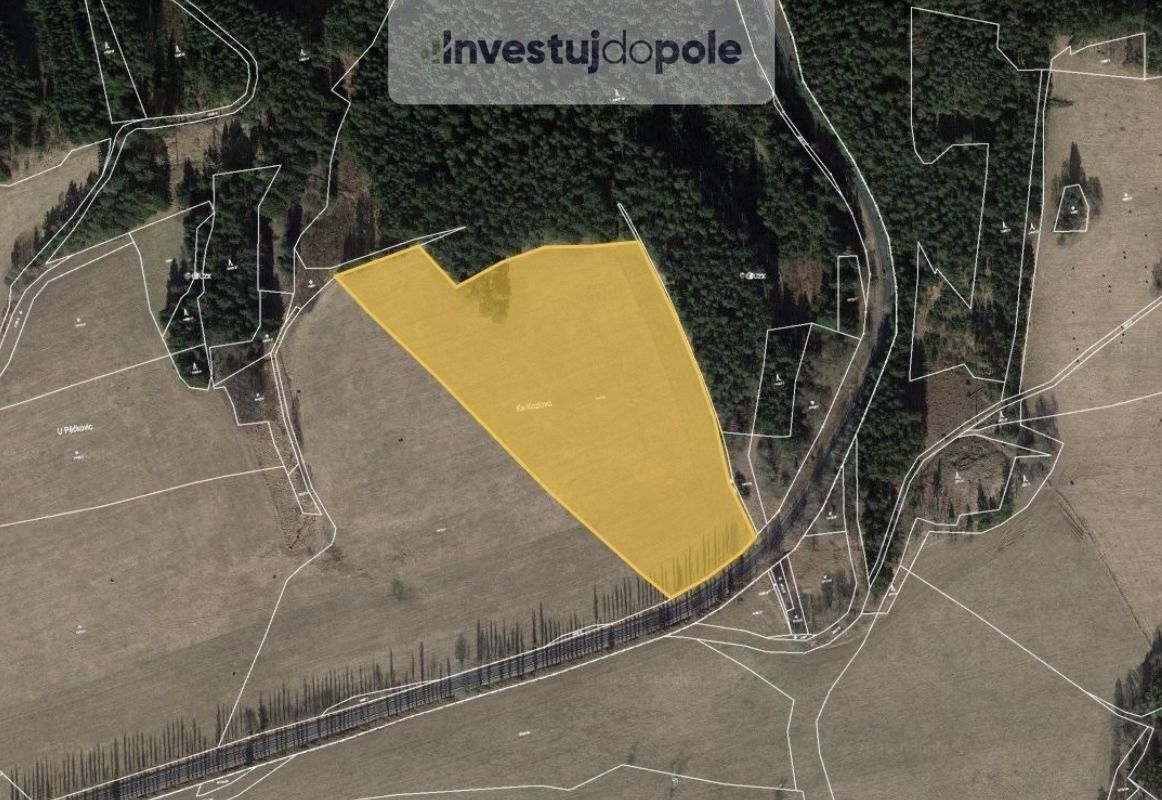 Prodej zemědělský pozemek - Toužim