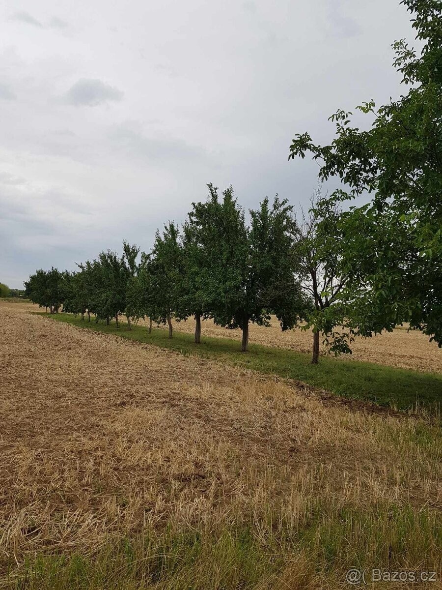 Prodej pozemek pro bydlení - Veselí nad Moravou, 698 01 - 5