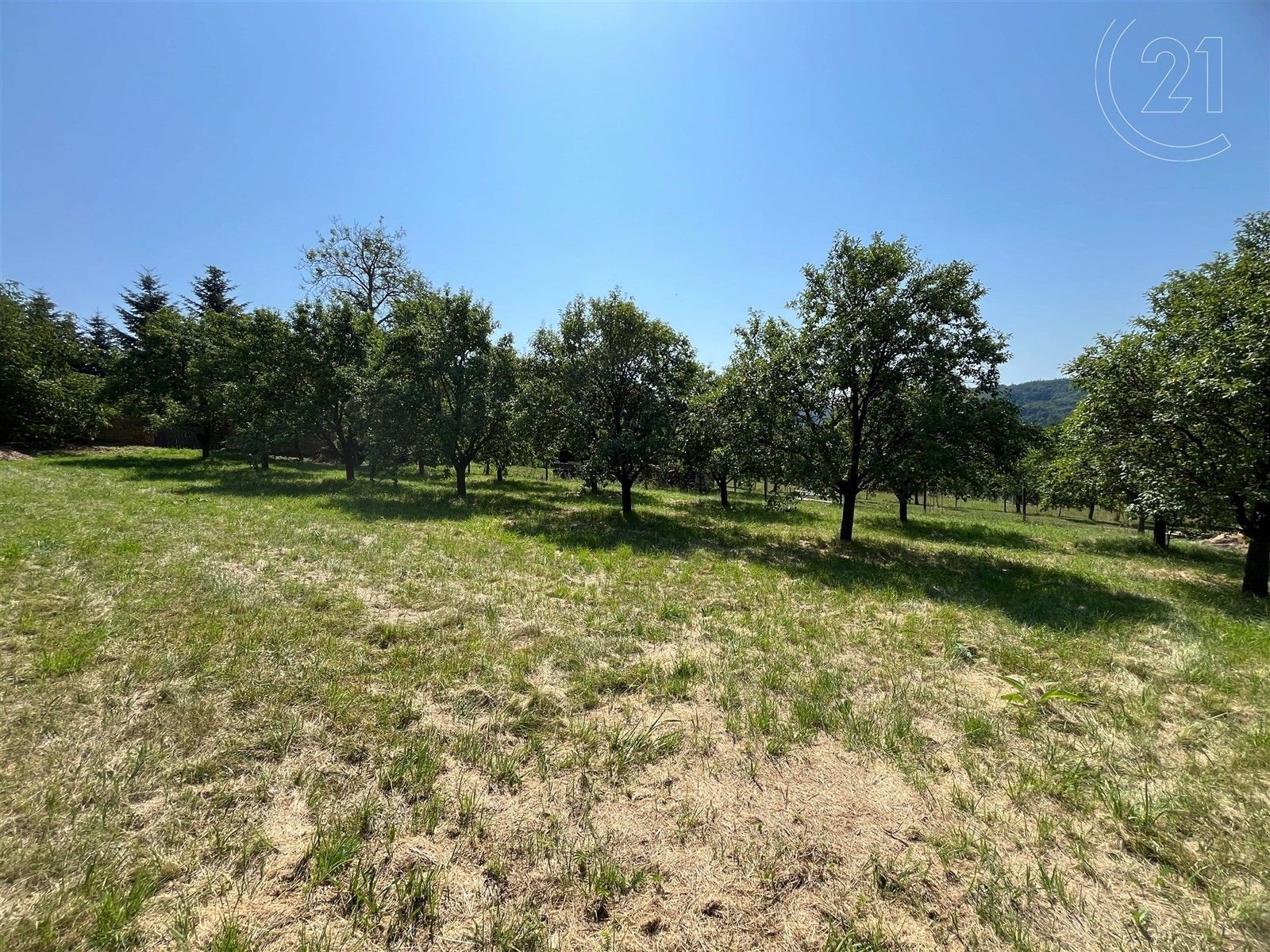 Prodej pozemek pro bydlení - Milovice, Soběsuky