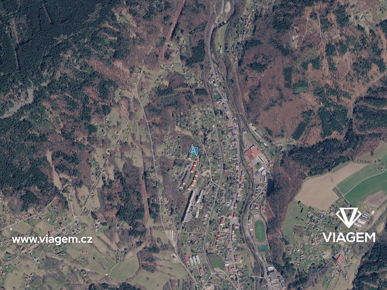 Les · Velké Hamry, okres Jablonec nad Nisou, Liberecký kraj - 3