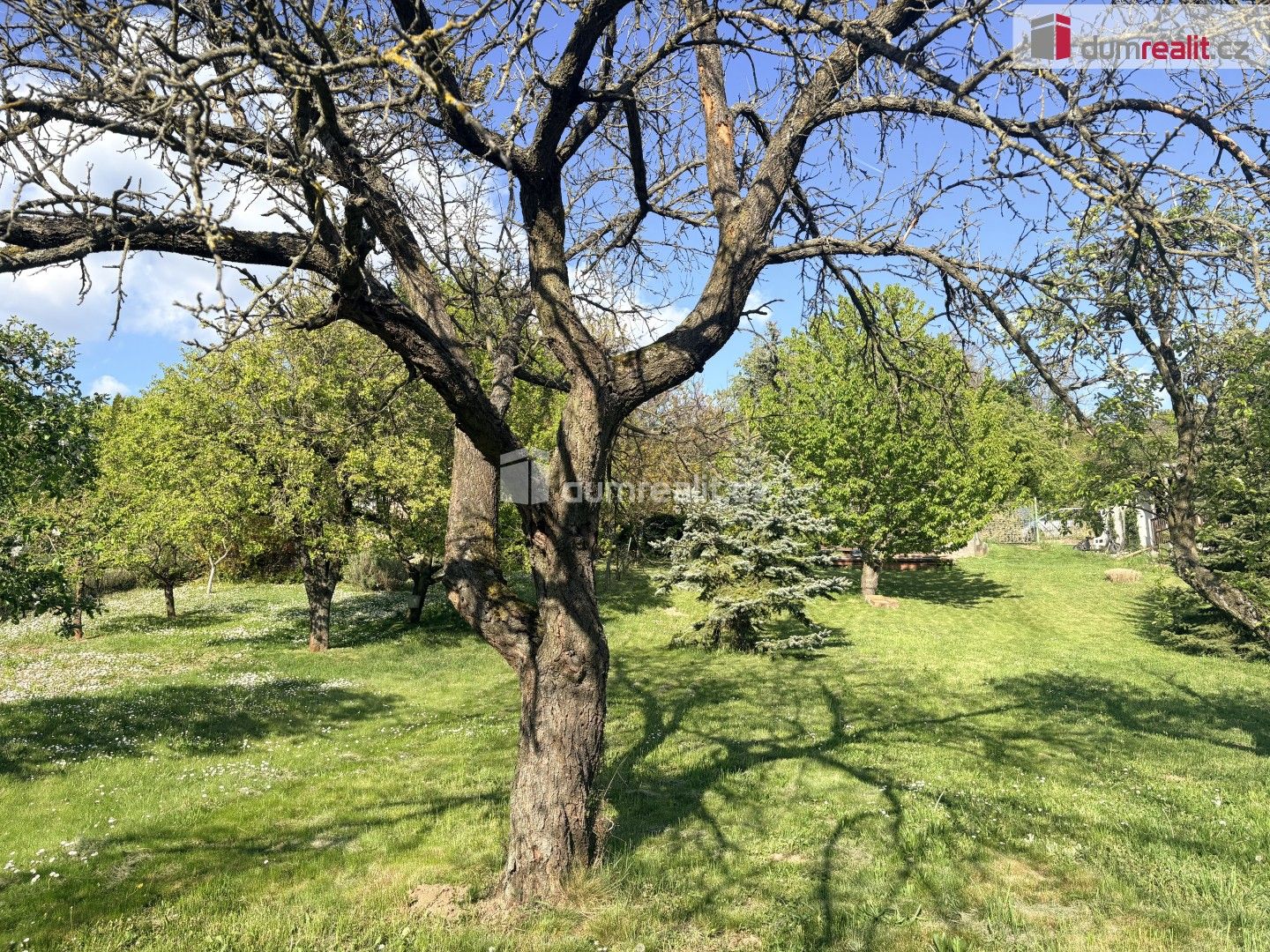 Zahrada · 888 m² · Bezručova, Mikulov - 3