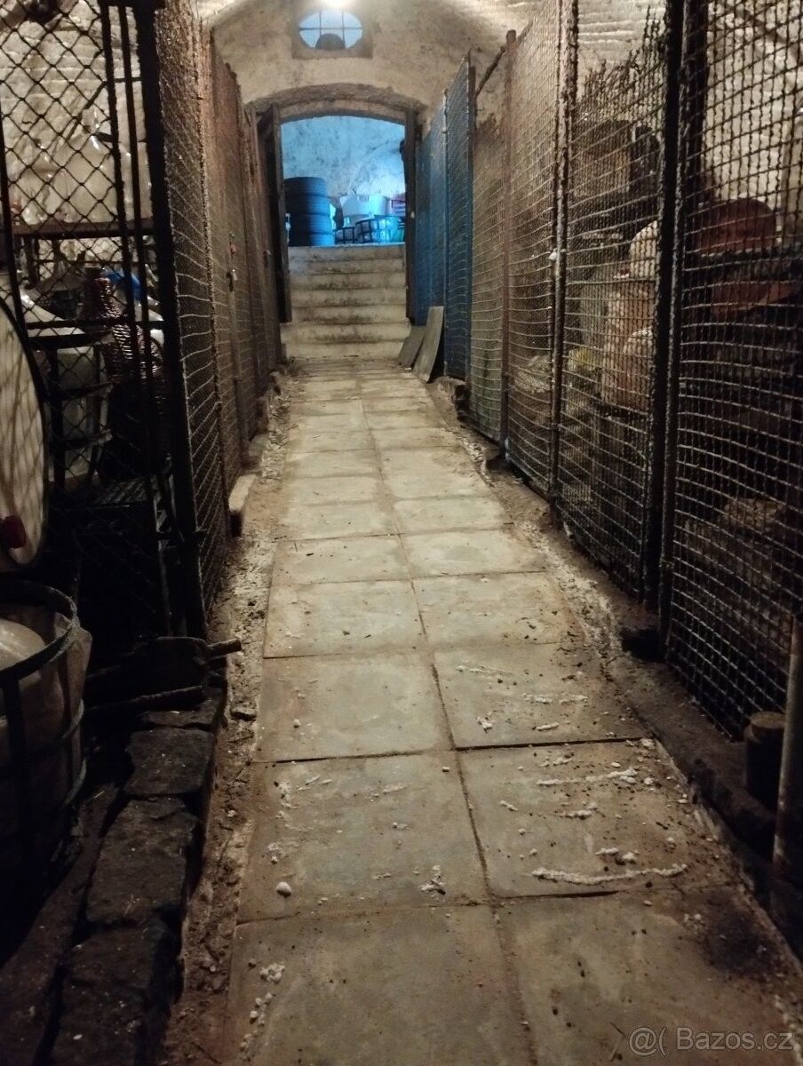 Ostatní, Bzenec, 696 81