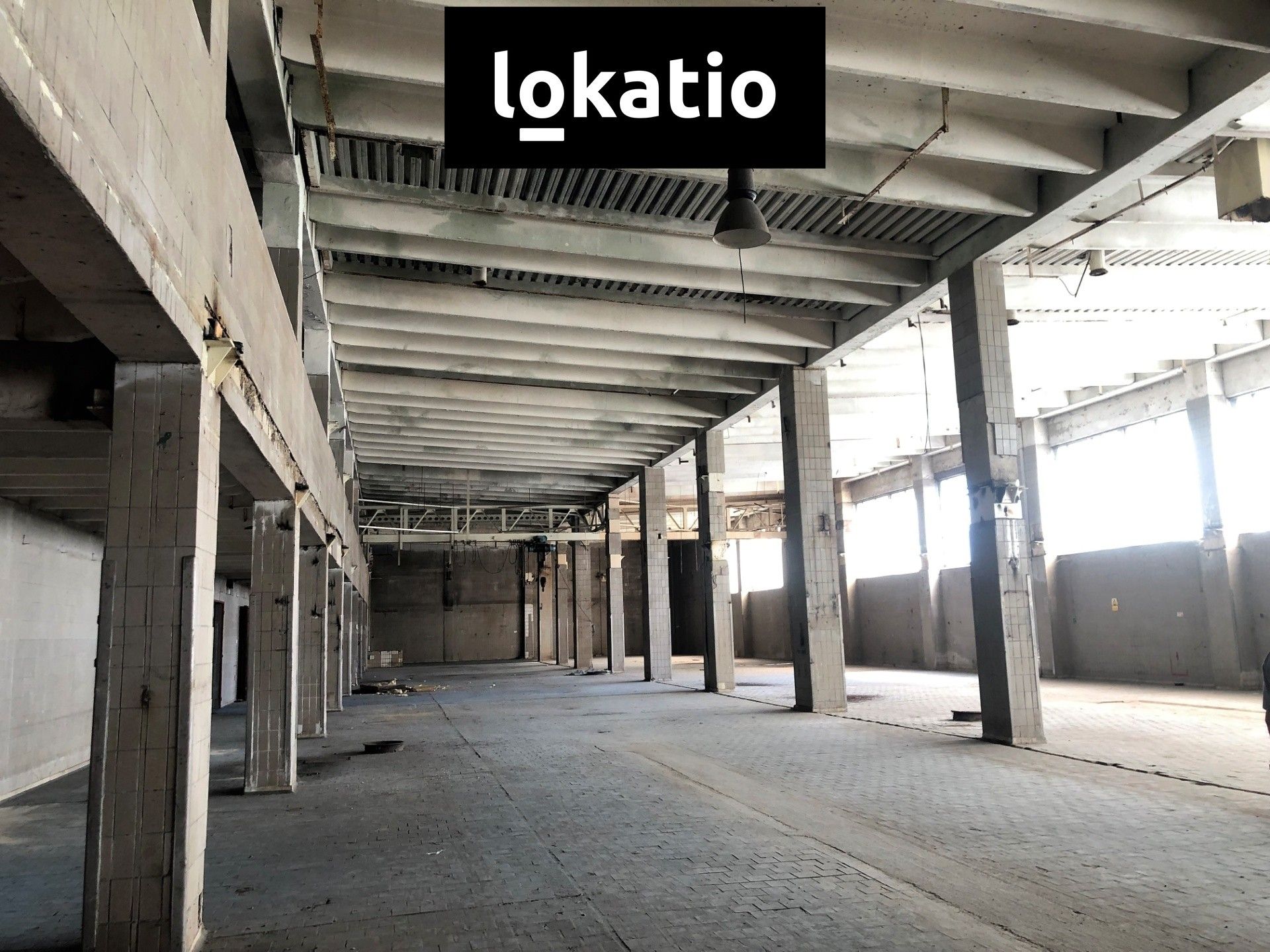 Sklad · 3 000 m² · Hamerská, Olomouc - 3