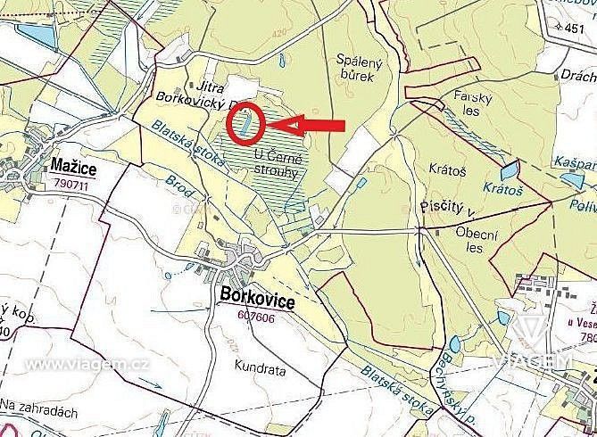 Les · Borkovice, okres Tábor, Jihočeský kraj - 4