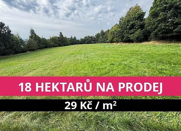 Prodej louka - Stráž nad Ohří - Srní, okres Karlovy Vary, Karlovarský kraj - 1