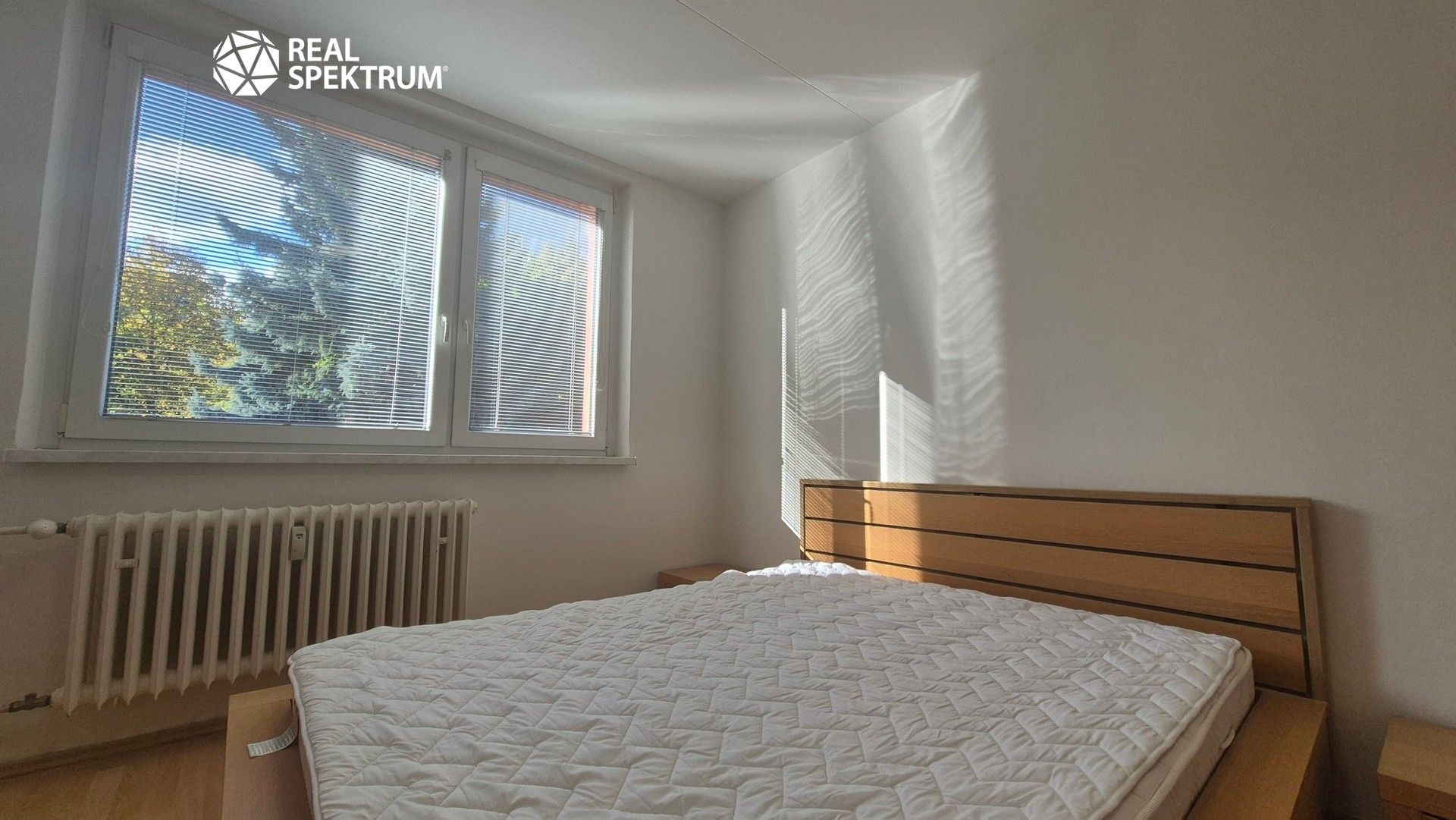 3+1, Vlasty Pittnerové, Brno, 70 m² - 1