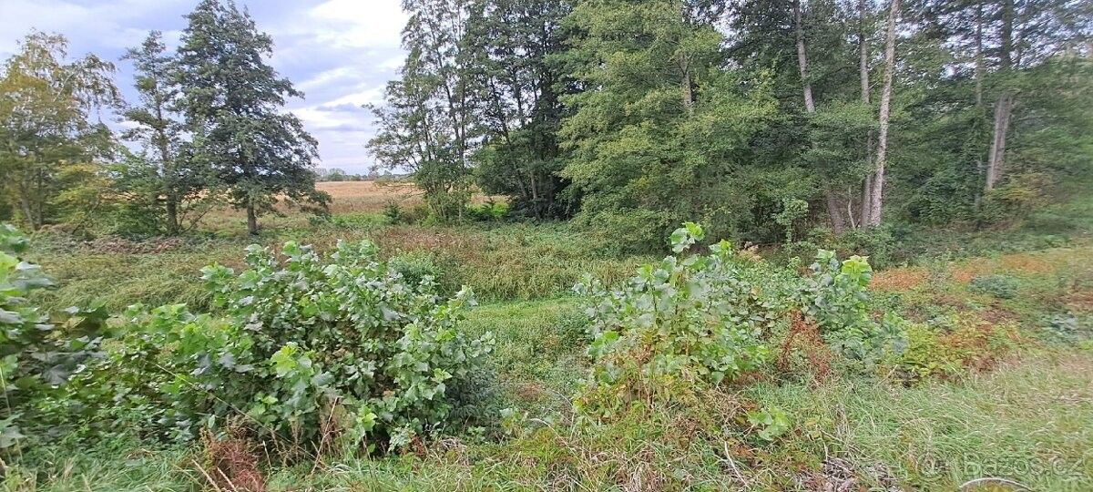 Prodej pozemek pro bydlení - Dřísy, 277 14