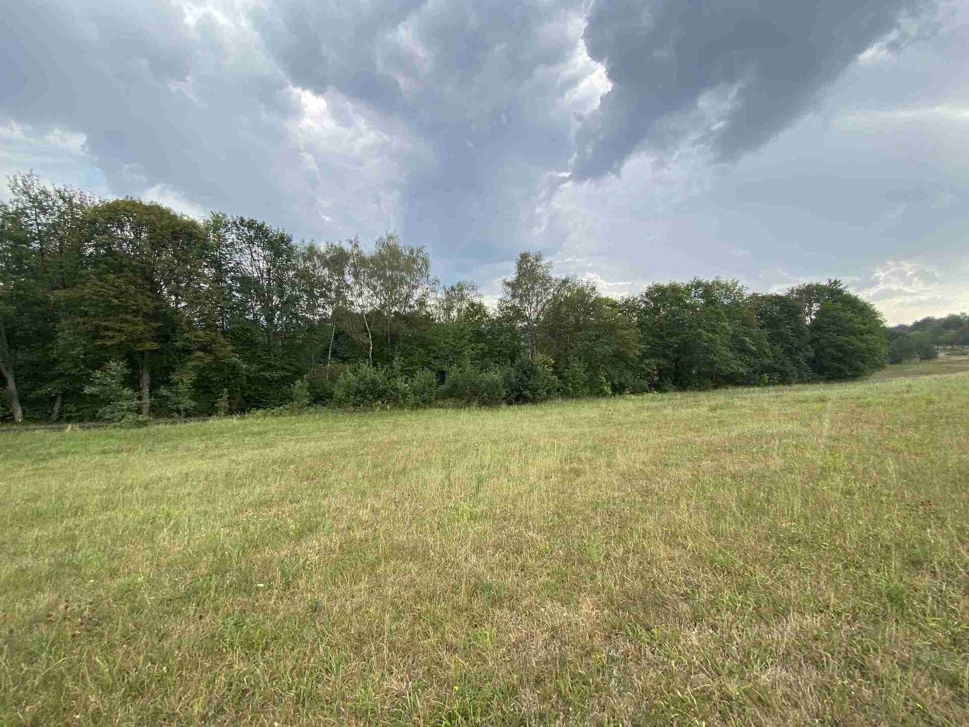 Zemědělský pozemek · 1 197 m² · Dolní Nivy - 4