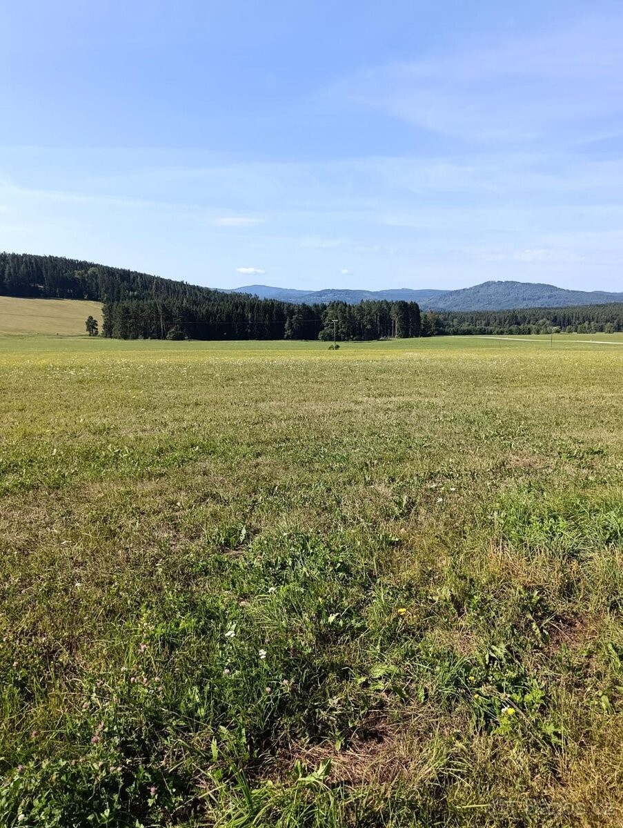 Pozemek pro bydlení · Vyšší Brod, 382 73 - 3