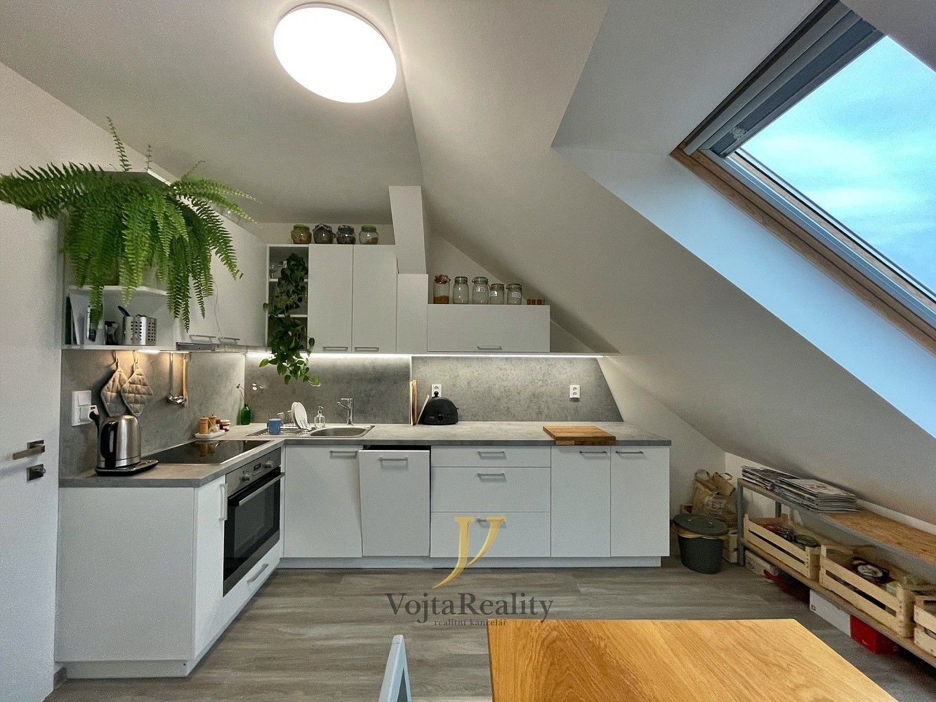 1+1, Bořivojova, Olomouc - Lazce, 50 m² - 1