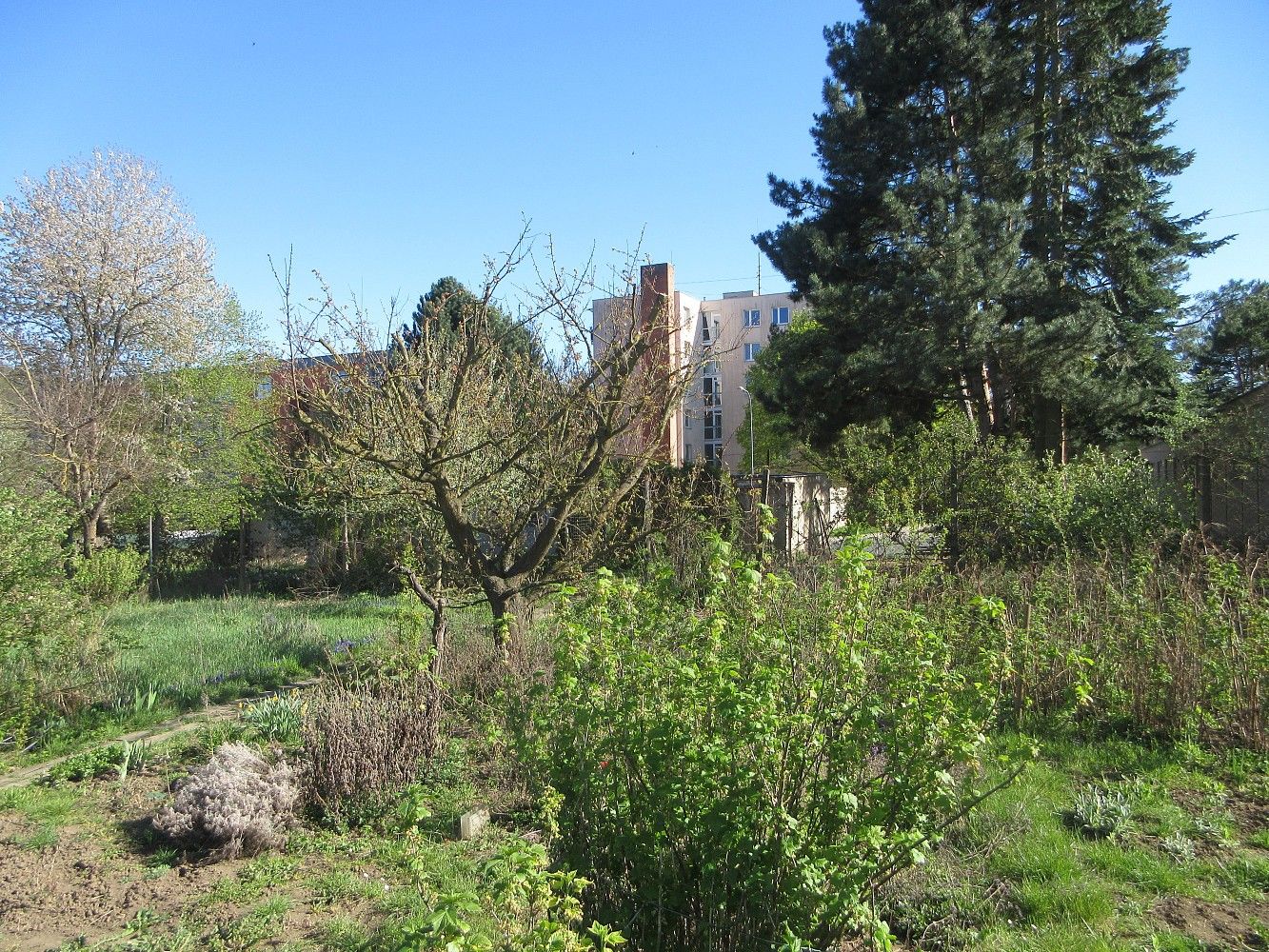 Zahrady, Brno, okres Brno-město, Jihomoravský kraj