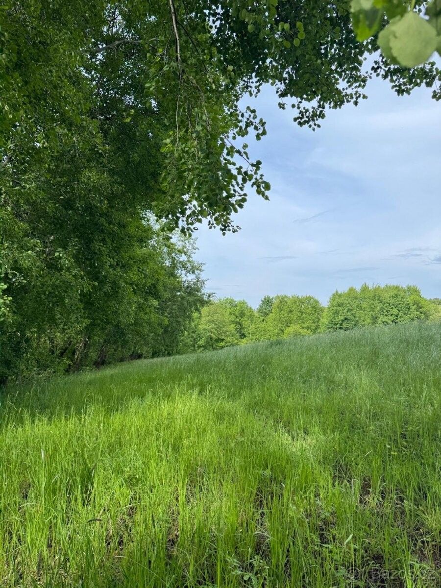 Pozemky pro bydlení, Český Dub, 463 43