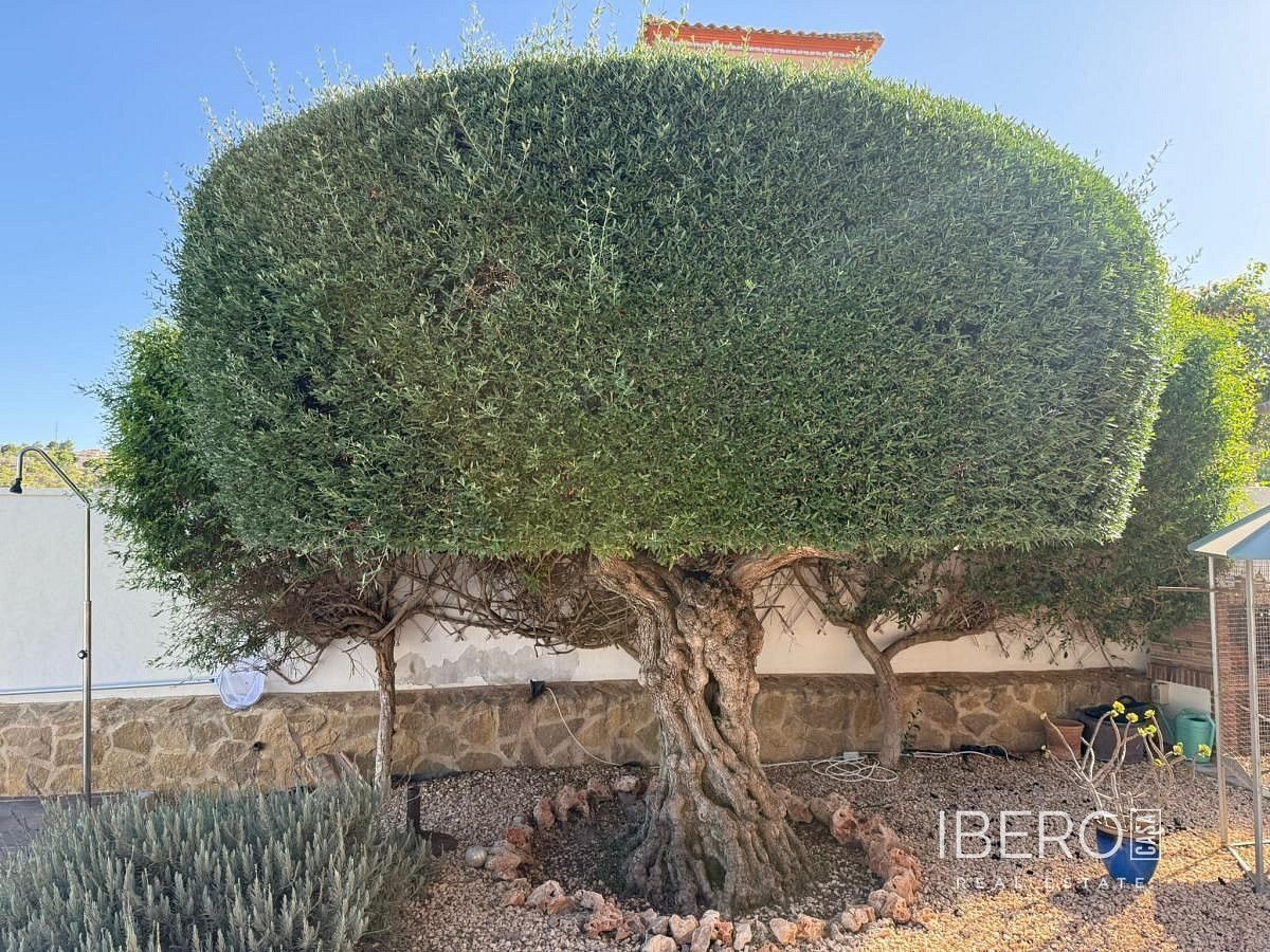 Rodinný dům · 170 m² · San Miguel de Salinas, ES - 4