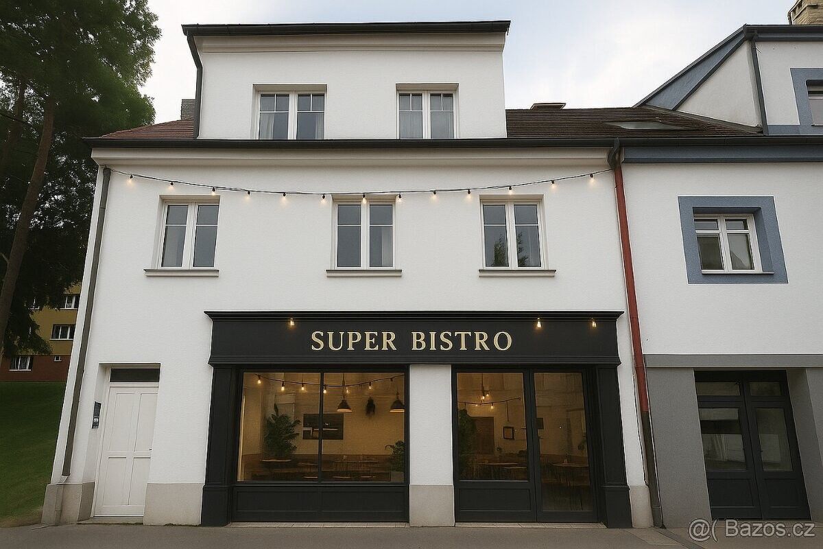 Obchodní prostory, České Budějovice, 370 06 - 1