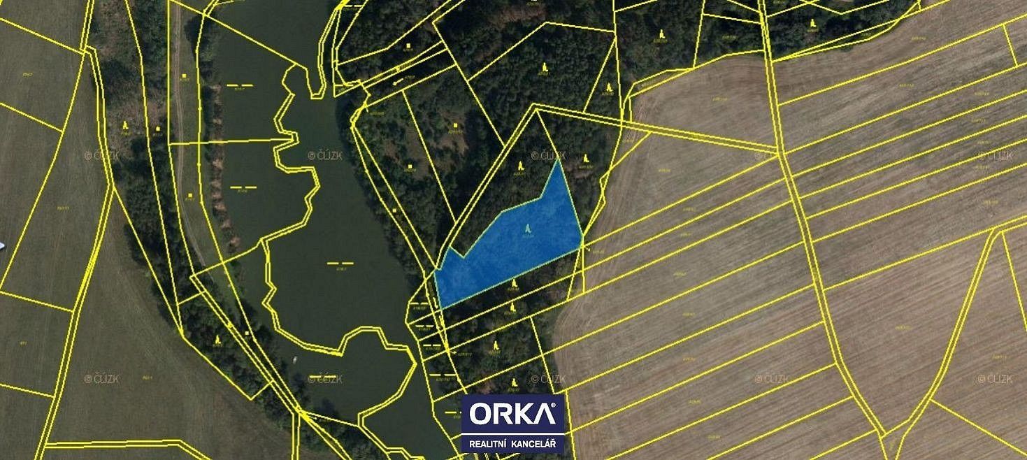 Les · Otinoves, okres Prostějov, Olomoucký kraj - 3