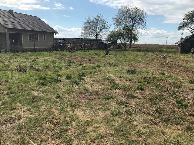 Zahrady, Mochov, 250 87