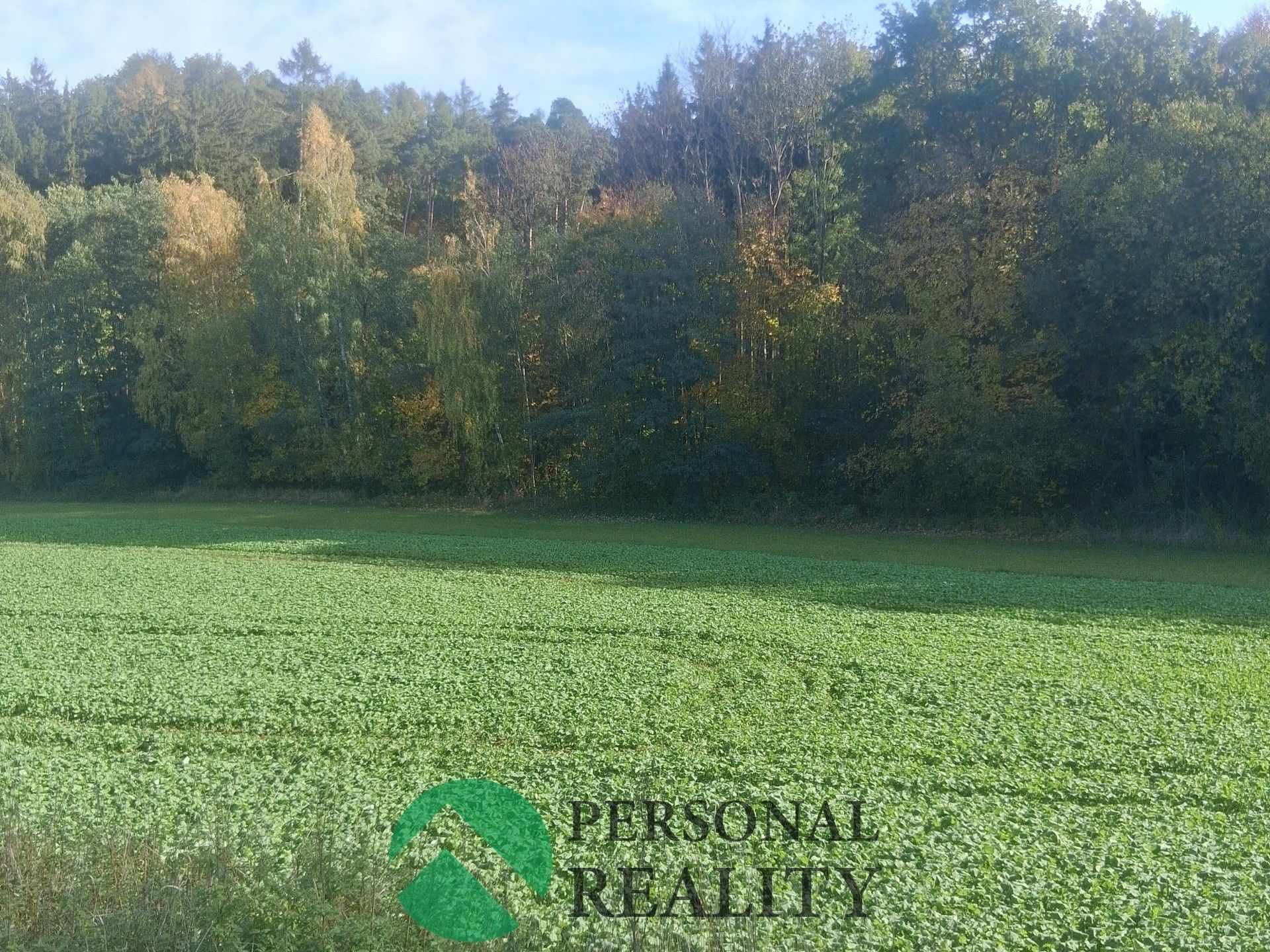 Prodej zemědělský pozemek - Mrzky