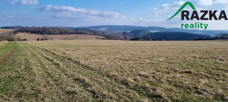 Prodej pozemek pro bydlení - Tachov, 347 01