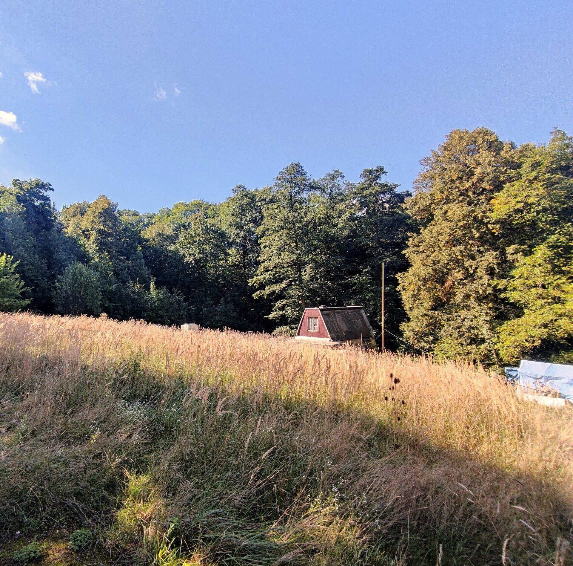 Zahrady, Podvrší  , Ostrava Radvanice, 3 278 m² - 1