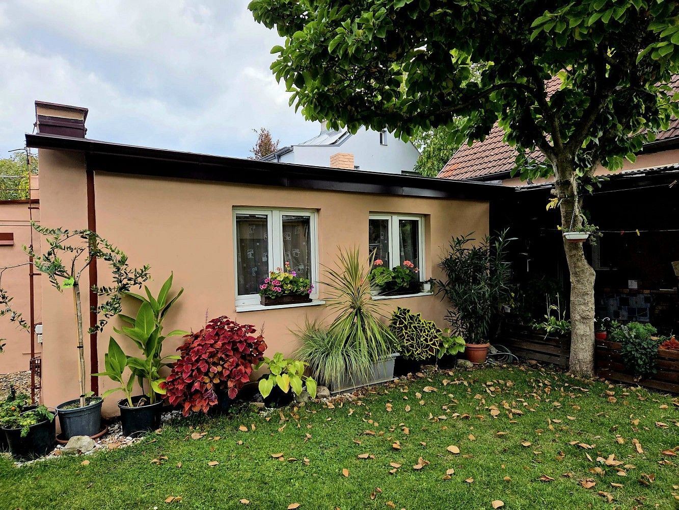 1+kk, Netřebická, Praha 9 - Satalice, 45 m² - 1