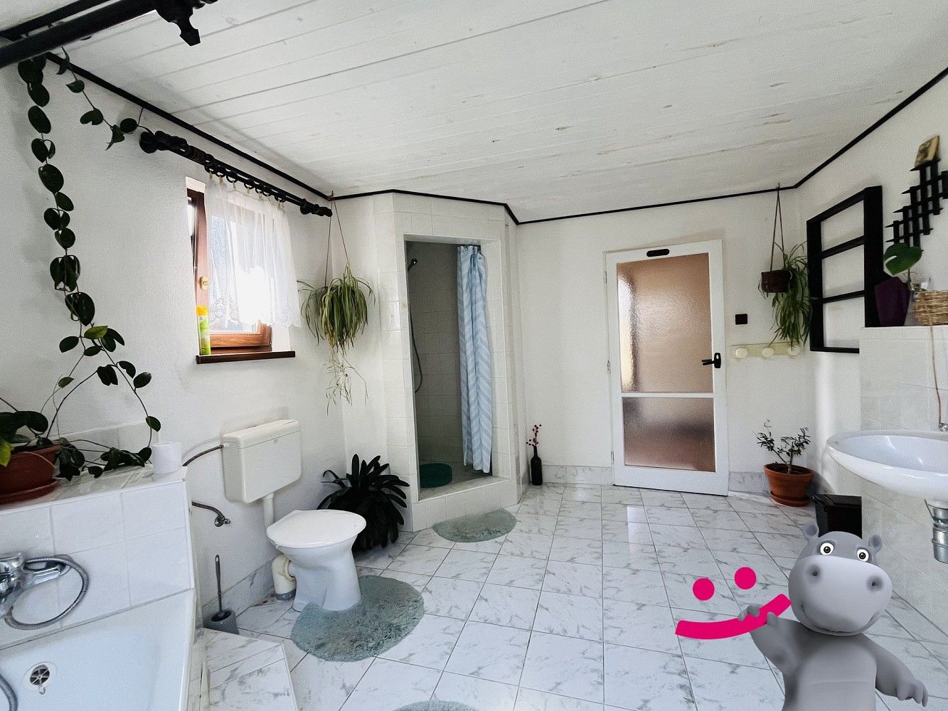 Prodej ubytovací zařízení - Černá Voda, okres Jeseník, 446 m² - 5
