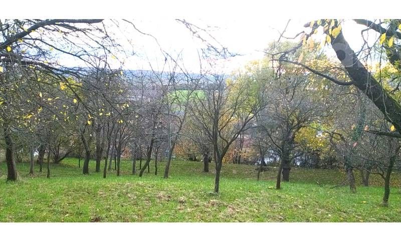 Prodej zahrada - Přílepy