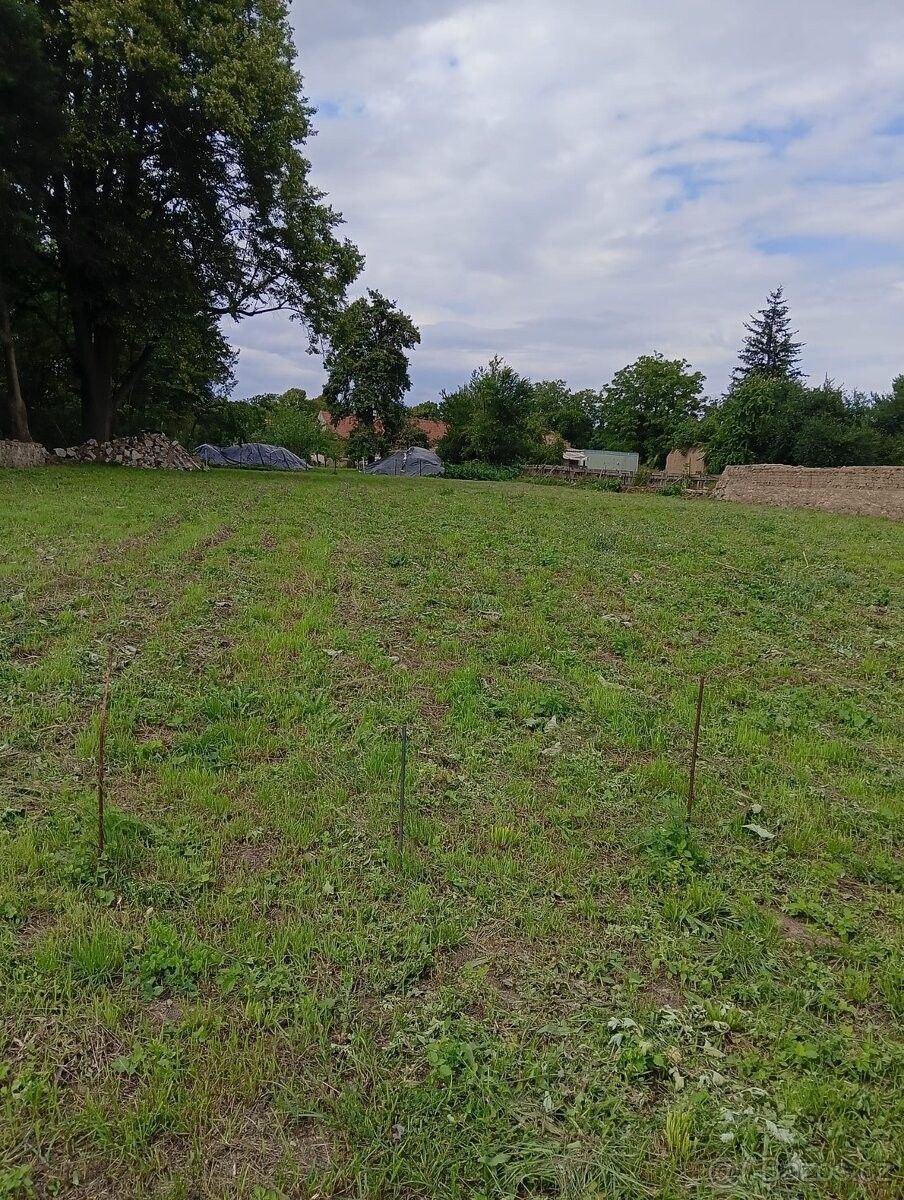 Pozemky pro bydlení, Bukovany, 779 00