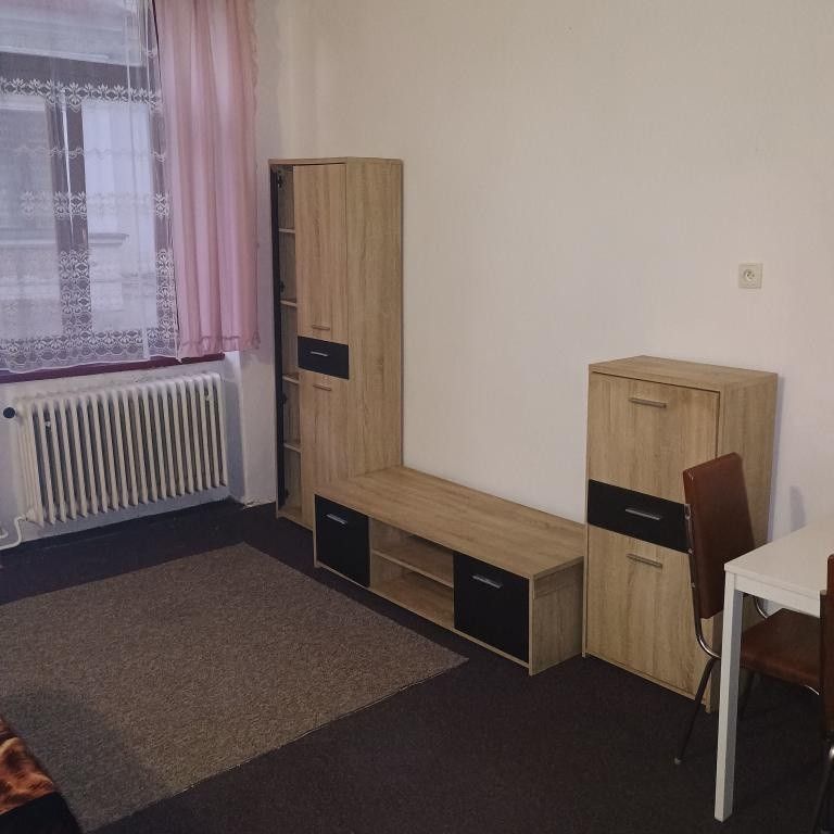 Pronájem byt - Písek, 397 01