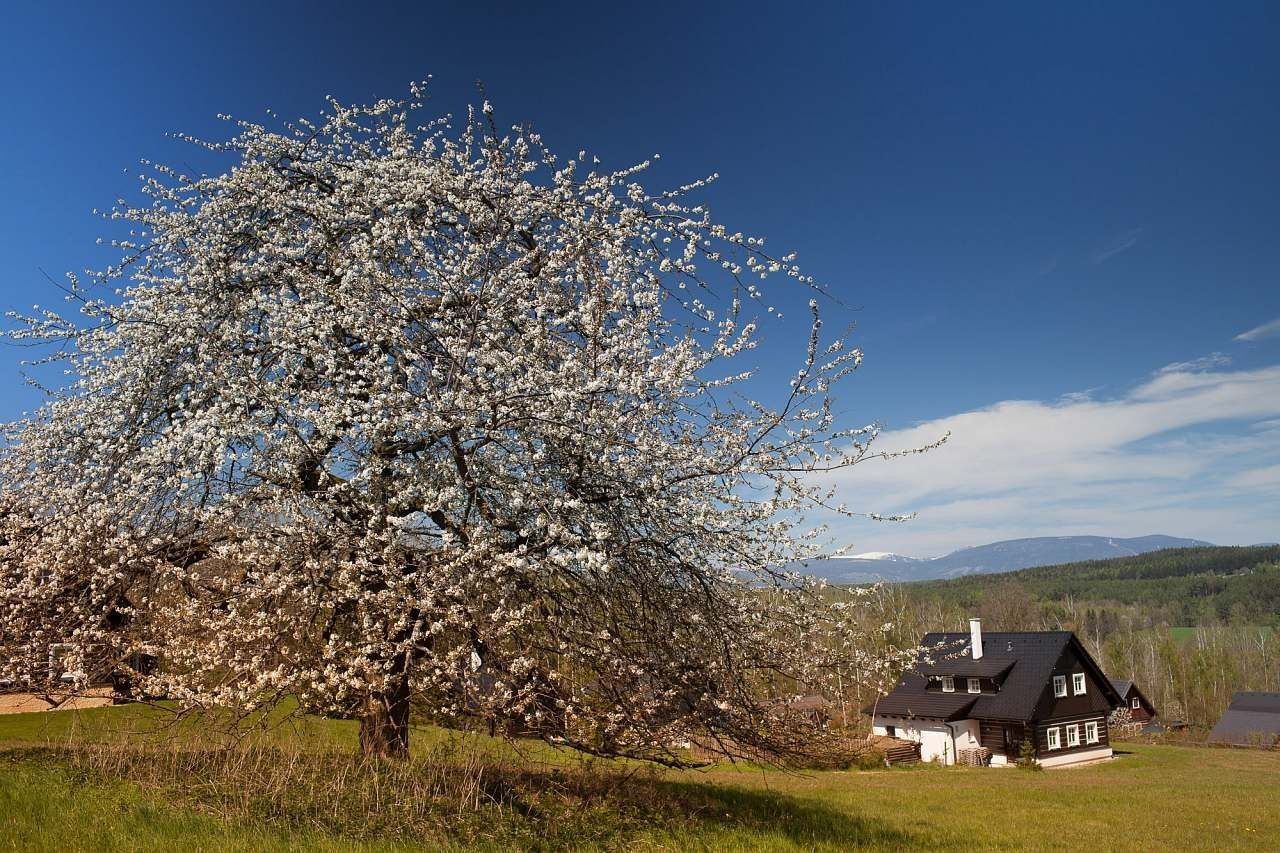 Chaty, Horní Brusnice - Horní Brusnice, Královéhradecký kraj